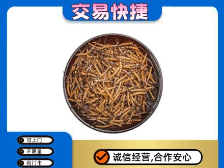 聊城市临清高价回收散虫草